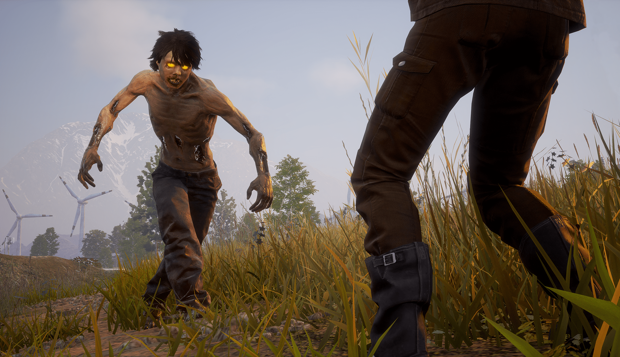 State of Decay 2