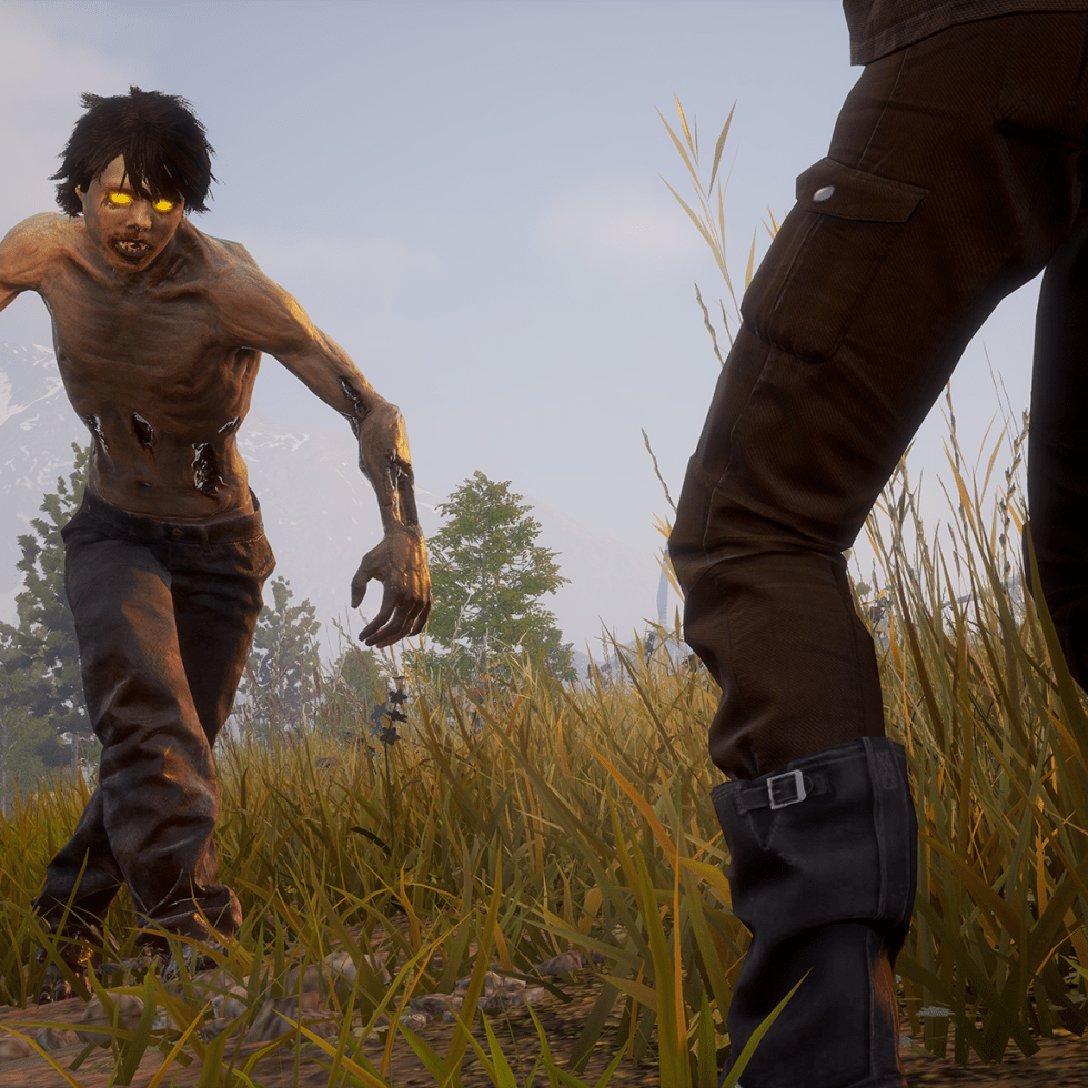 State of Decay 2